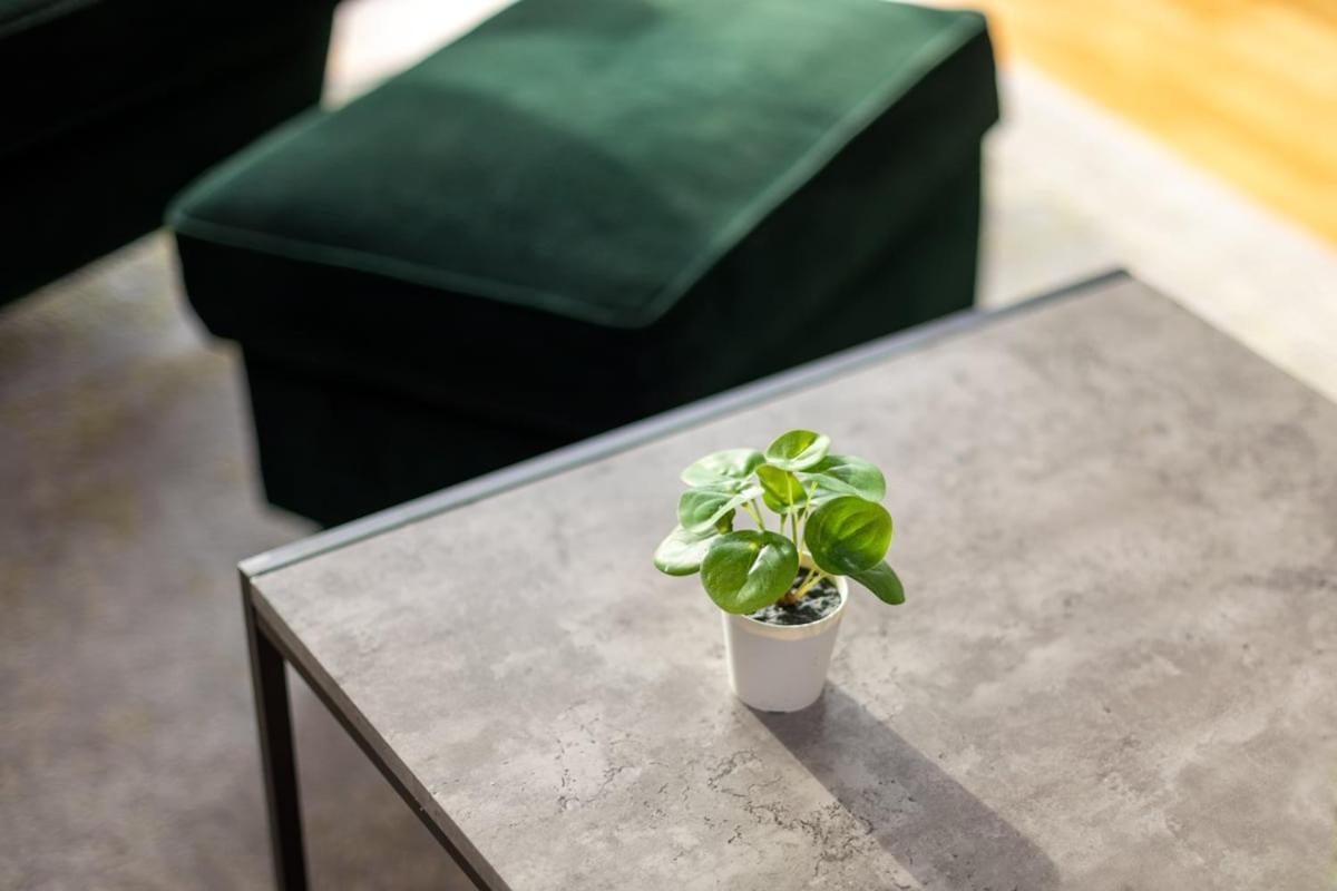 Appartamento Modern Chiswick Londra